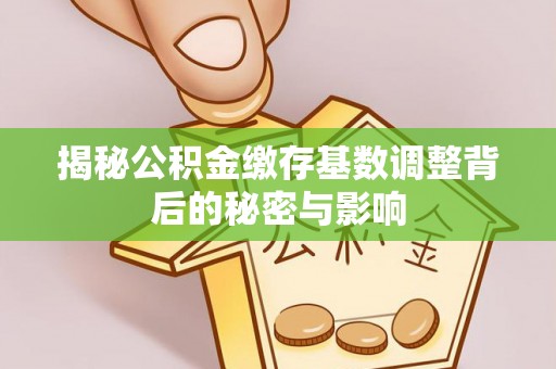 碾子山揭秘公积金缴存基数调整背后的秘密与影响