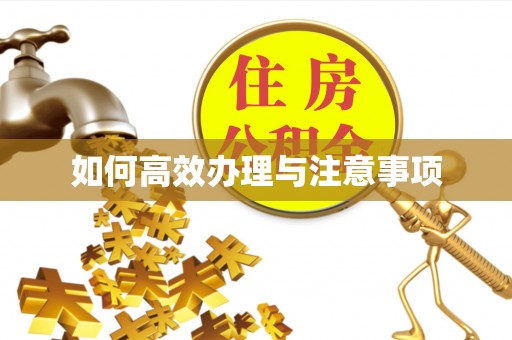 碾子山如何高效办理与注意事项