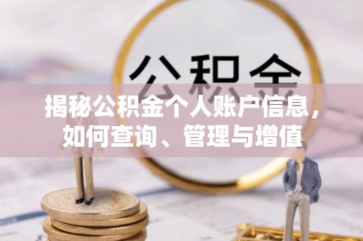 碾子山揭秘公积金个人账户信息，如何查询、管理与增值