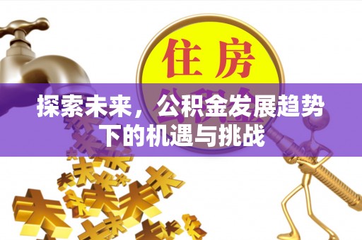碾子山探索未来，公积金发展趋势下的机遇与挑战