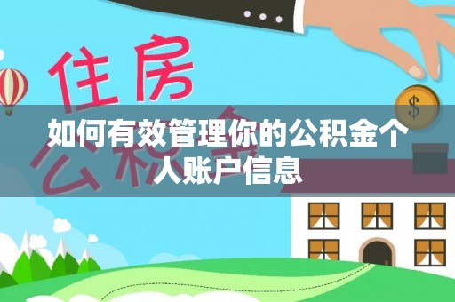 碾子山如何有效管理你的公积金个人账户信息