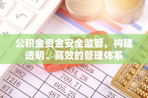 碾子山公积金资金安全监管，构建透明、高效的管理体系
